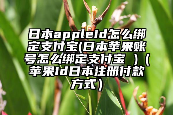 日本appleid怎么绑定支付宝(日本苹果账号怎么绑定支付宝 )（苹果id日本注册付款方式）