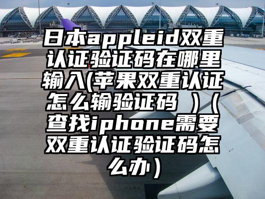 日本appleid双重认证验证码在哪里输入(苹果双重认证怎么输验证码 )（查找iphone需要双重认证验证码怎么办）