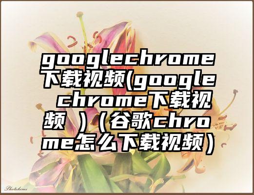 googlechrome下载视频(google chrome下载视频 )（谷歌chrome怎么下载视频）