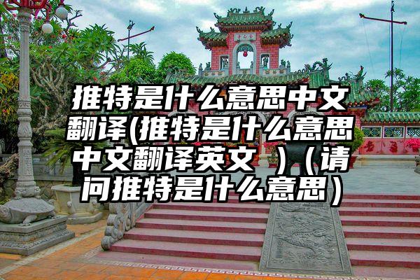 推特是什么意思中文翻译(推特是什么意思中文翻译英文 )（请问推特是什么意思）
