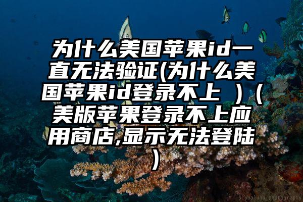 为什么美国苹果id一直无法验证(为什么美国苹果id登录不上 )（美版苹果登录不上应用商店,显示无法登陆）