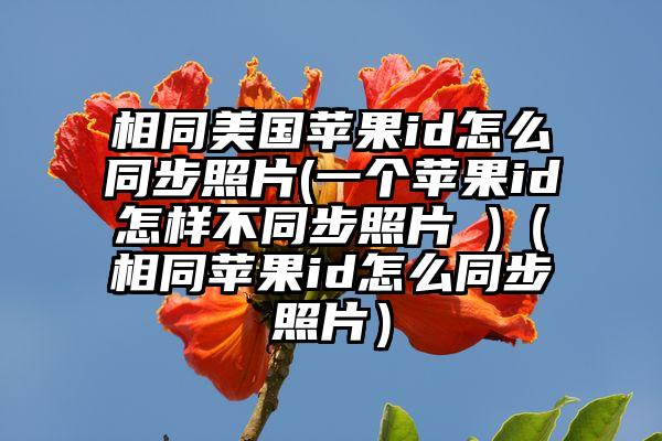 相同美国苹果id怎么同步照片(一个苹果id怎样不同步照片 )（相同苹果id怎么同步照片）