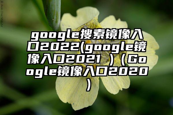google搜索镜像入口2022(google镜像入口2021 )(Google镜像入口2020)