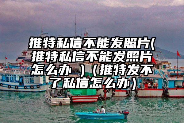 推特私信不能发照片(推特私信不能发照片怎么办 )（推特发不了私信怎么办）