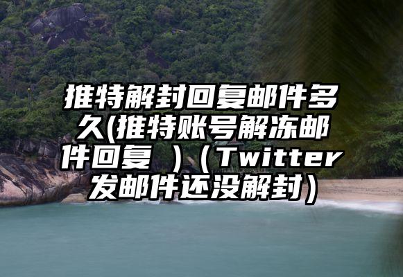 推特解封回复邮件多久(推特账号解冻邮件回复 )（Twitter发邮件还没解封）
