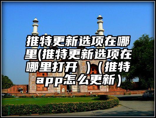 推特更新选项在哪里(推特更新选项在哪里打开 )(推特app怎么更新)