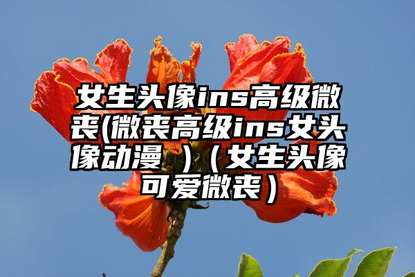 女生头像ins高级微丧(微丧高级ins女头像动漫 )（女生头像可爱微丧）