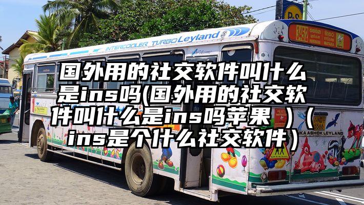 国外用的社交软件叫什么是ins吗(国外用的社交软件叫什么是ins吗苹果 )（ins是个什么社交软件）
