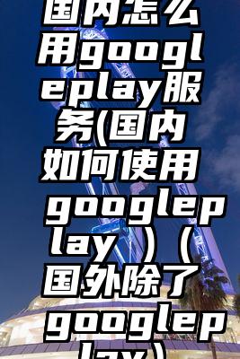 国内怎么用googleplay服务(国内如何使用googleplay )（国外除了googleplay）