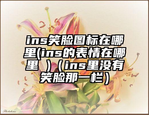 ins笑脸图标在哪里(ins的表情在哪里 )（ins里没有笑脸那一栏）