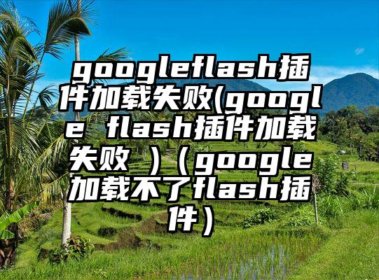 googleflash插件加载失败(google flash插件加载失败 )（google加载不了flash插件）