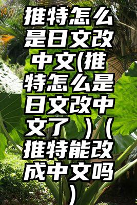 推特怎么是日文改中文(推特怎么是日文改中文了 )（推特能改成中文吗）