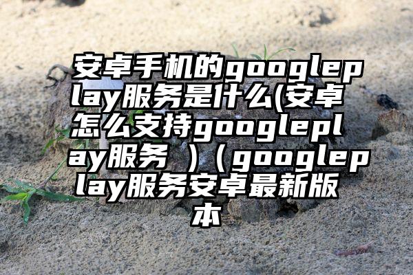 安卓手机的googleplay服务是什么(安卓怎么支持googleplay服务 )（googleplay服务安卓最新版本