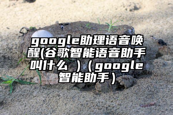 google助理语音唤醒(谷歌智能语音助手叫什么 )（google智能助手）