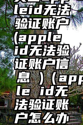 美国appleid无法验证账户(apple id无法验证账户信息 )（apple id无法验证账户怎么办）