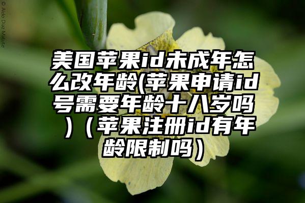 美国苹果id未成年怎么改年龄(苹果申请id号需要年龄十八岁吗 )（苹果注册id有年龄限制吗）