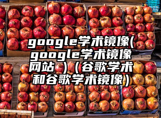 google学术镜像(google学术镜像网站 )（谷歌学术和谷歌学术镜像）