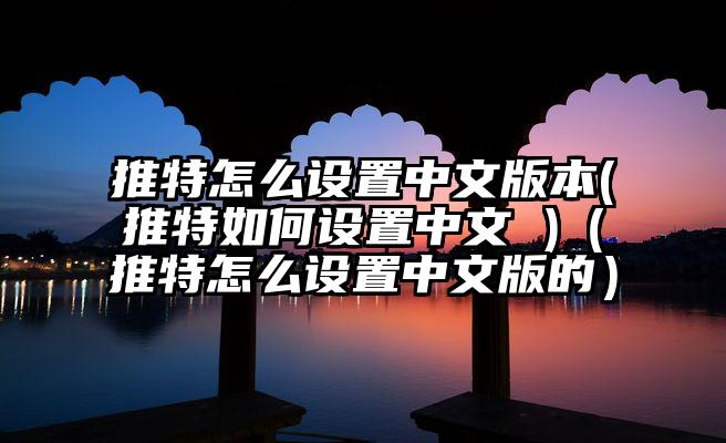 推特怎么设置中文版本(推特如何设置中文 )（推特怎么设置中文版的）