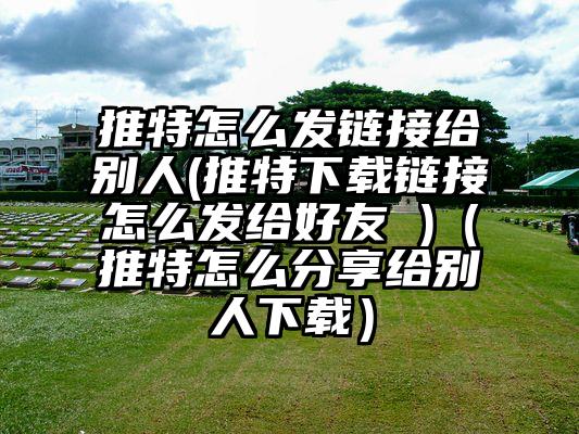 推特怎么发链接给别人(推特下载链接怎么发给好友 )（推特怎么分享给别人下载）
