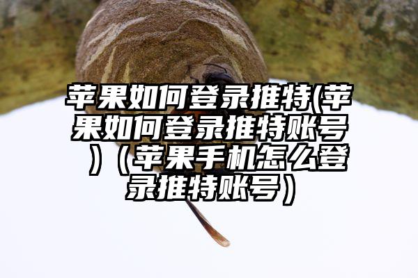 苹果如何登录推特(苹果如何登录推特账号 )（苹果手机怎么登录推特账号）