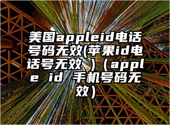 美国appleid电话号码无效(苹果id电话号无效 )（apple id 手机号码无效）