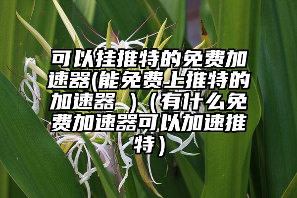 可以挂推特的免费加速器(能免费上推特的加速器 )（有什么免费加速器可以加速推特）