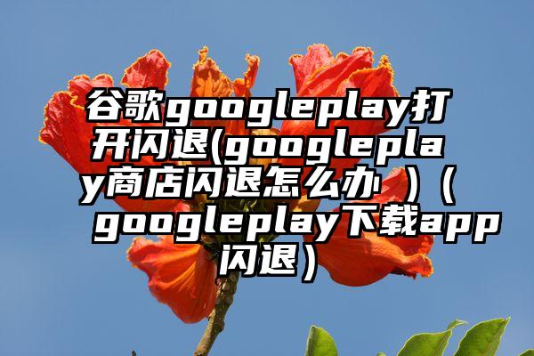 谷歌googleplay打开闪退(googleplay商店闪退怎么办 )（googleplay下载app闪退）