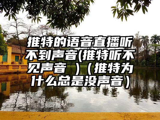 推特的语音直播听不到声音(推特听不见声音 )(推特为什么总是没声音)