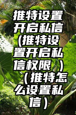 推特设置开启私信(推特设置开启私信权限 )（推特怎么设置私信）
