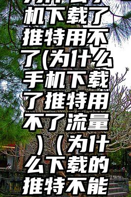 为什么手机下载了推特用不了(为什么手机下载了推特用不了流量 )（为什么下载的推特不能用）
