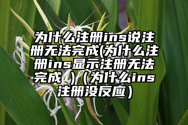 为什么注册ins说注册无法完成(为什么注册ins显示注册无法完成 )（为什么ins注册没反应）