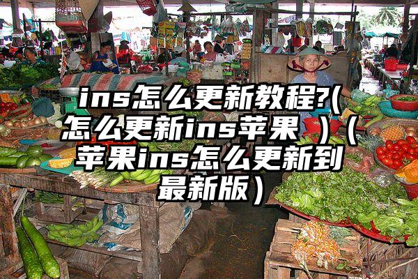 ins怎么更新教程?(怎么更新ins苹果 )（苹果ins怎么更新到最新版）