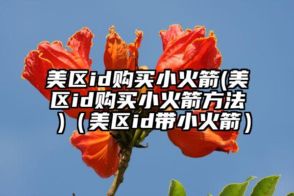 美区id购买小火箭(美区id购买小火箭方法 )（美区id带小火箭）