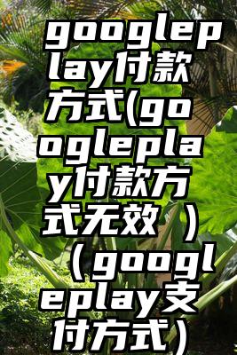googleplay付款方式(googleplay付款方式无效 )（googleplay支付方式）