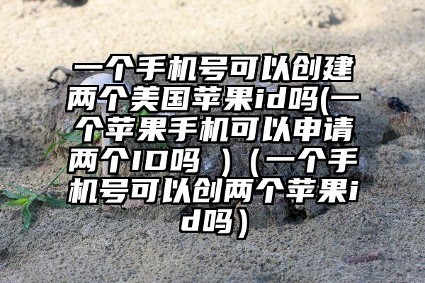 一个手机号可以创建两个美国苹果id吗(一个苹果手机可以申请两个ID吗 )（一个手机号可以创两个苹果id吗）