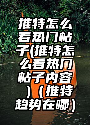 推特怎么看热门帖子(推特怎么看热门帖子内容 )（推特趋势在哪）