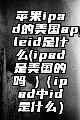 苹果ipad的美国appleid是什么(ipad是美国的吗 )（ipad中id是什么）