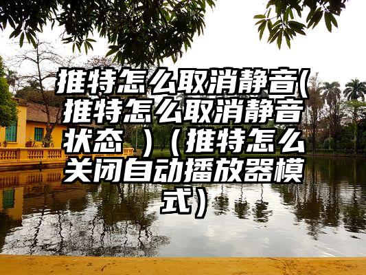 推特怎么取消静音(推特怎么取消静音状态 )（推特怎么关闭自动播放器模式）