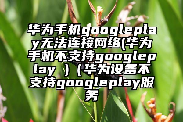 华为手机googleplay无法连接网络(华为手机不支持googleplay )（华为设备不支持googleplay服务