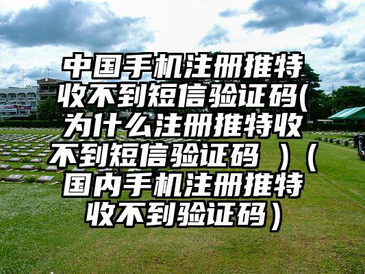 中国手机注册推特收不到短信验证码(为什么注册推特收不到短信验证码 )（国内手机注册推特收不到验证码）