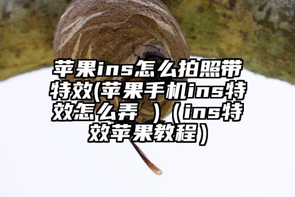 苹果ins怎么拍照带特效(苹果手机ins特效怎么弄 )（ins特效苹果教程）