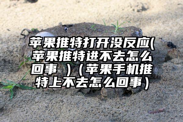 苹果推特打开没反应(苹果推特进不去怎么回事 )（苹果手机推特上不去怎么回事）