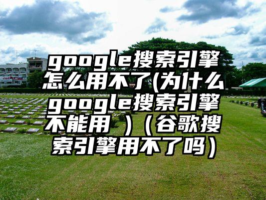 google搜索引擎怎么用不了(为什么google搜索引擎不能用 )（谷歌搜索引擎用不了吗）