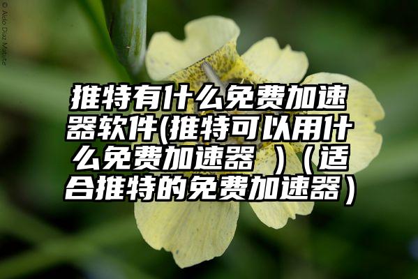 推特有什么免费加速器软件(推特可以用什么免费加速器 )（适合推特的免费加速器）