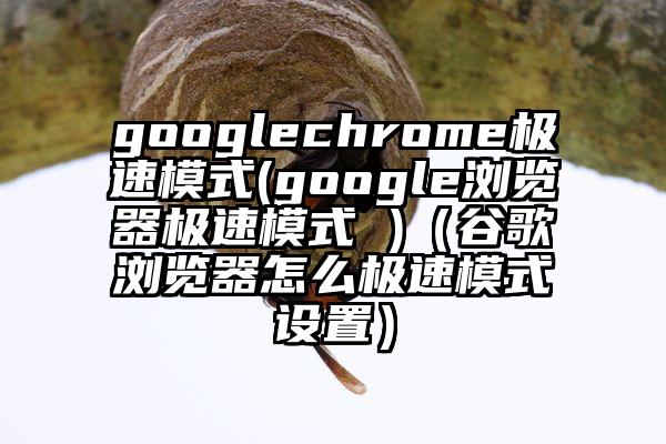 googlechrome极速模式(google浏览器极速模式 )（谷歌浏览器怎么极速模式设置）