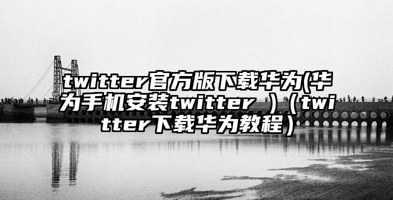 twitter官方版下载华为(华为手机安装twitter )(twitter下载华为教程)