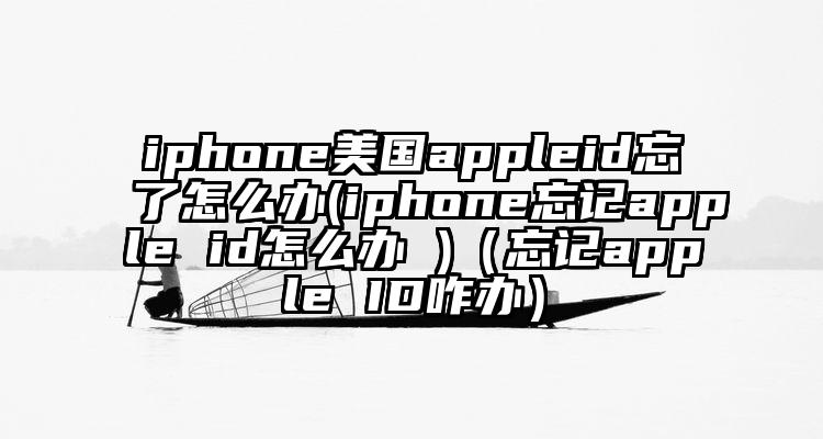 iphone美国appleid忘了怎么办(iphone忘记apple id怎么办 )（忘记apple ID咋办）