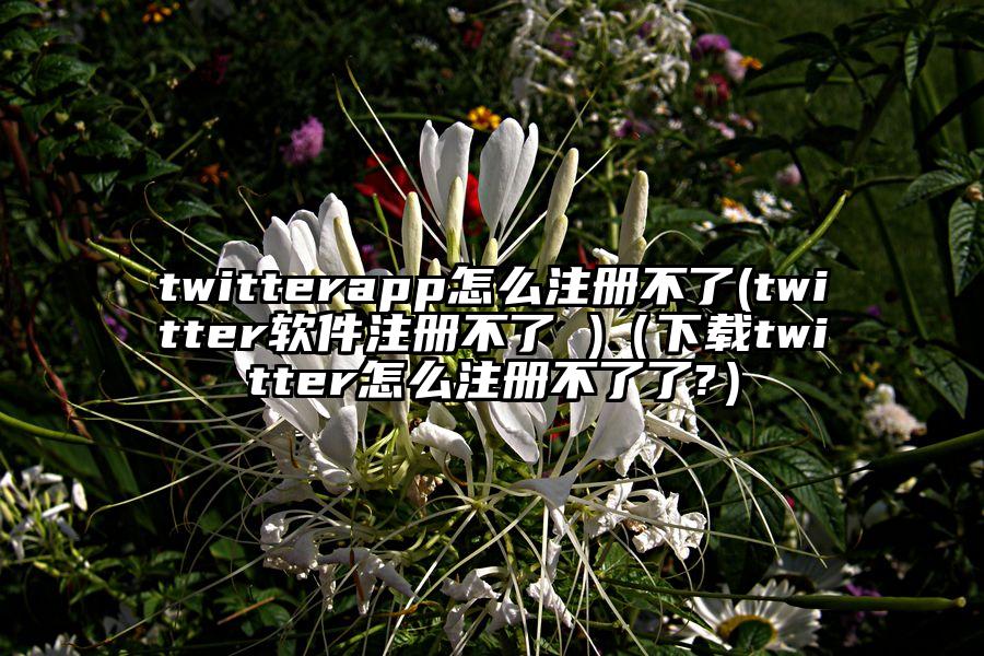 twitterapp怎么注册不了(twitter软件注册不了 )（下载twitter怎么注册不了了?）