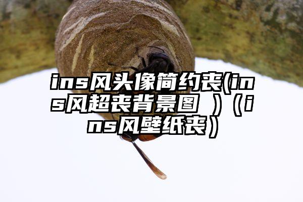 ins风头像简约丧(ins风超丧背景图 )（ins风壁纸丧）