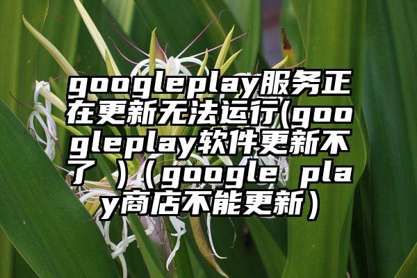 googleplay服务正在更新无法运行(googleplay软件更新不了 )(google play商店不能更新)